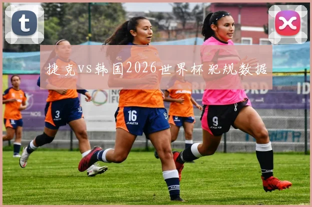 捷克vs韩国2026世界杯犯规数据