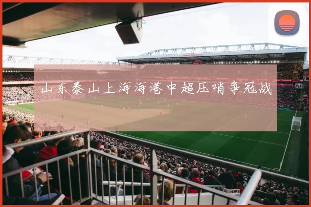 山东泰山上海海港中超压哨争冠战
