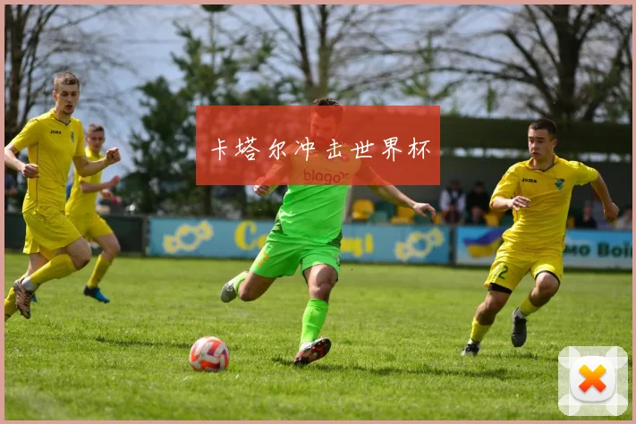 卡塔尔冲击世界杯