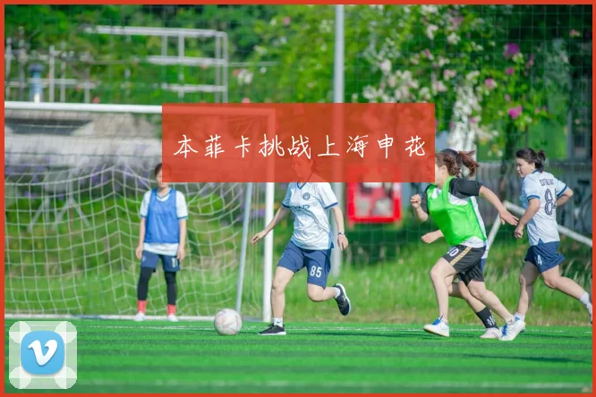 本菲卡挑战上海申花