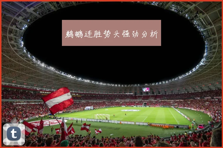 鹈鹕连胜势头强劲分析