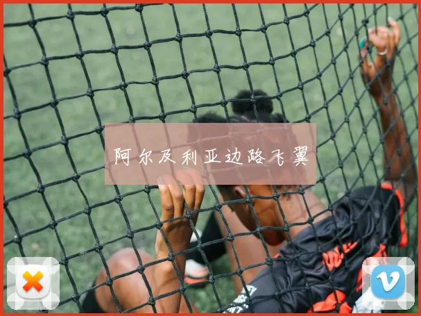 阿尔及利亚边路飞翼