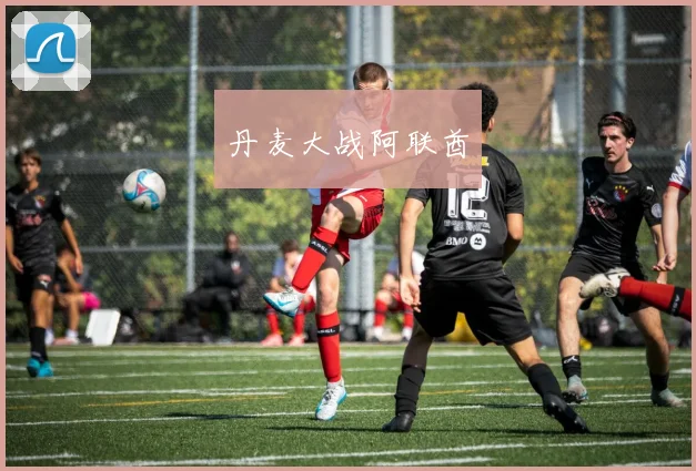 丹麦大战阿联酋