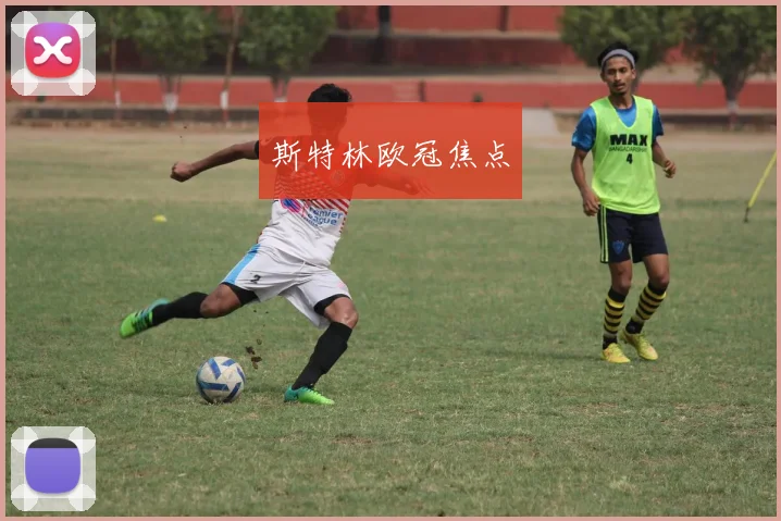斯特林欧冠焦点