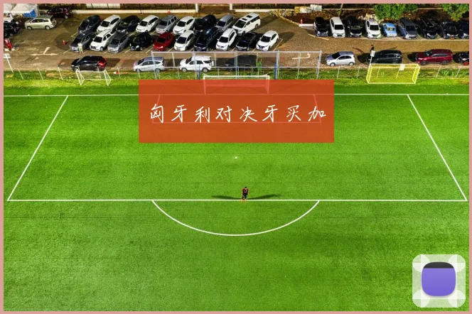 匈牙利对决牙买加