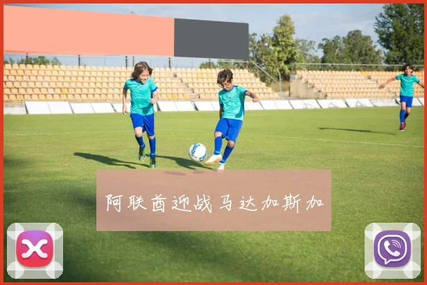 阿联酋迎战马达加斯加