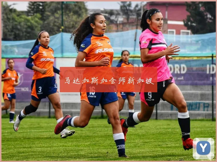 马达加斯加会师新加坡