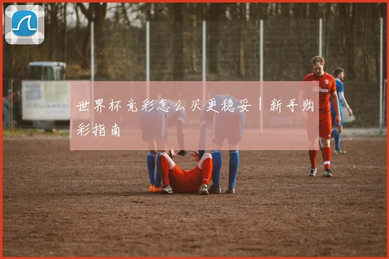 世界杯竞彩怎么买更稳妥｜新手购彩指南