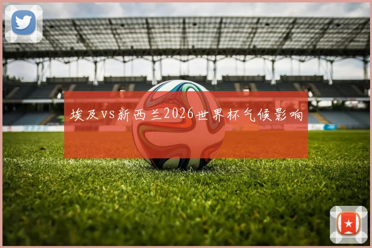 埃及vs新西兰2026世界杯气候影响