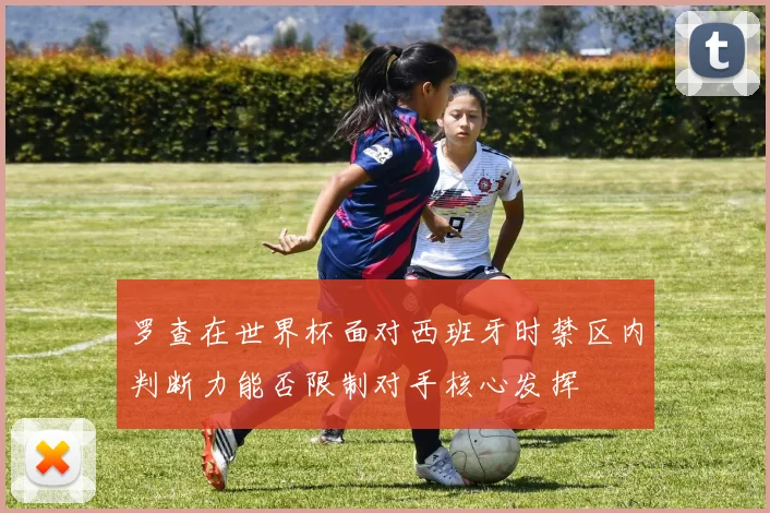 罗查在世界杯面对西班牙时禁区内判断力能否限制对手核心发挥