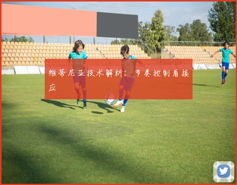 维蒂尼亚技术解析：节奏控制看接应