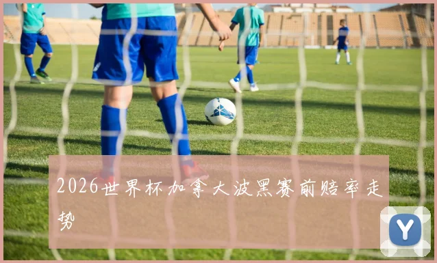 2026世界杯加拿大波黑赛前赔率走势
