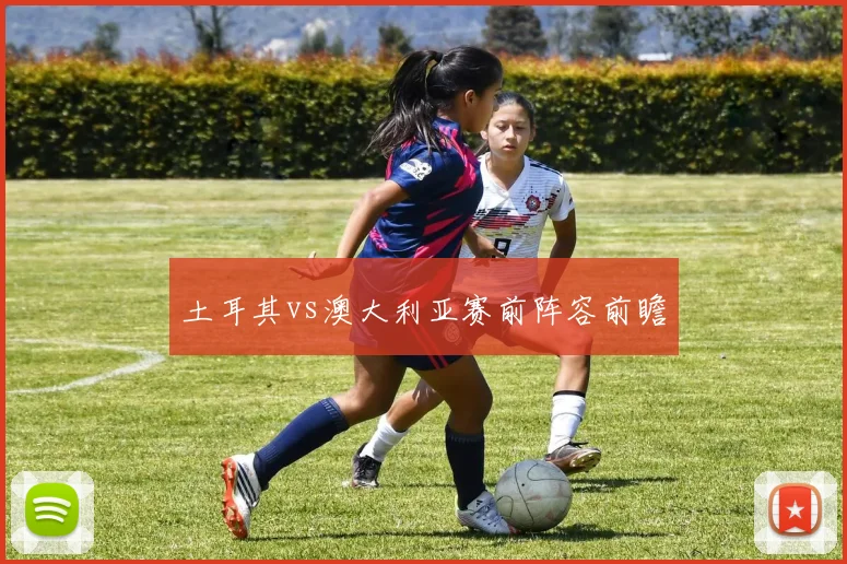 土耳其vs澳大利亚赛前阵容前瞻